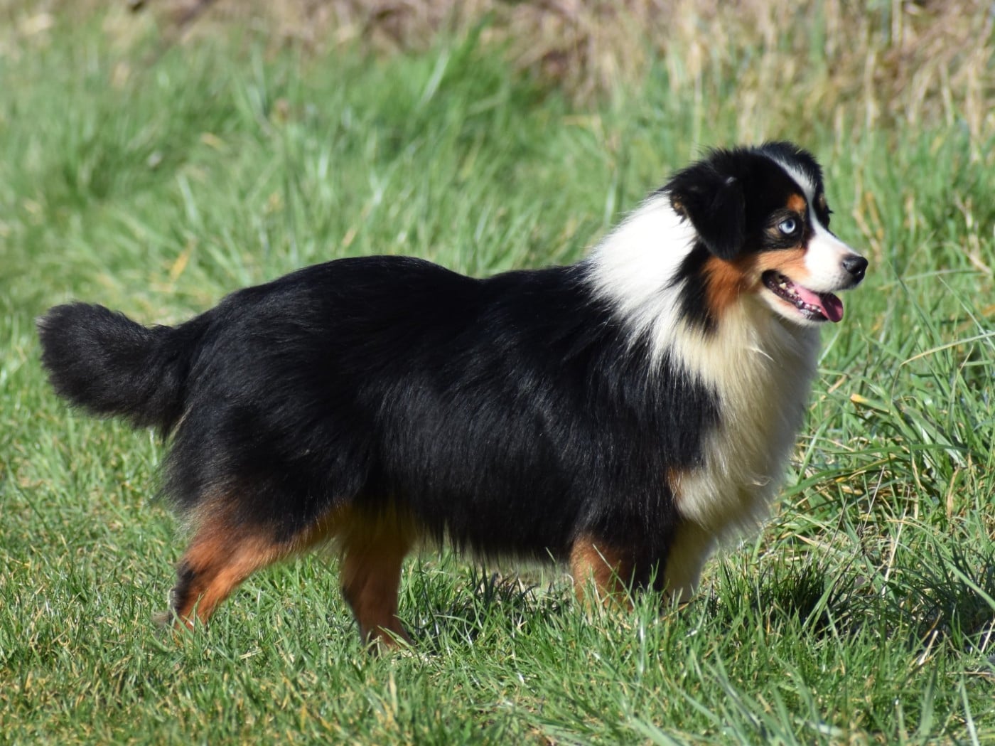 Publication : De La Folle Emprise