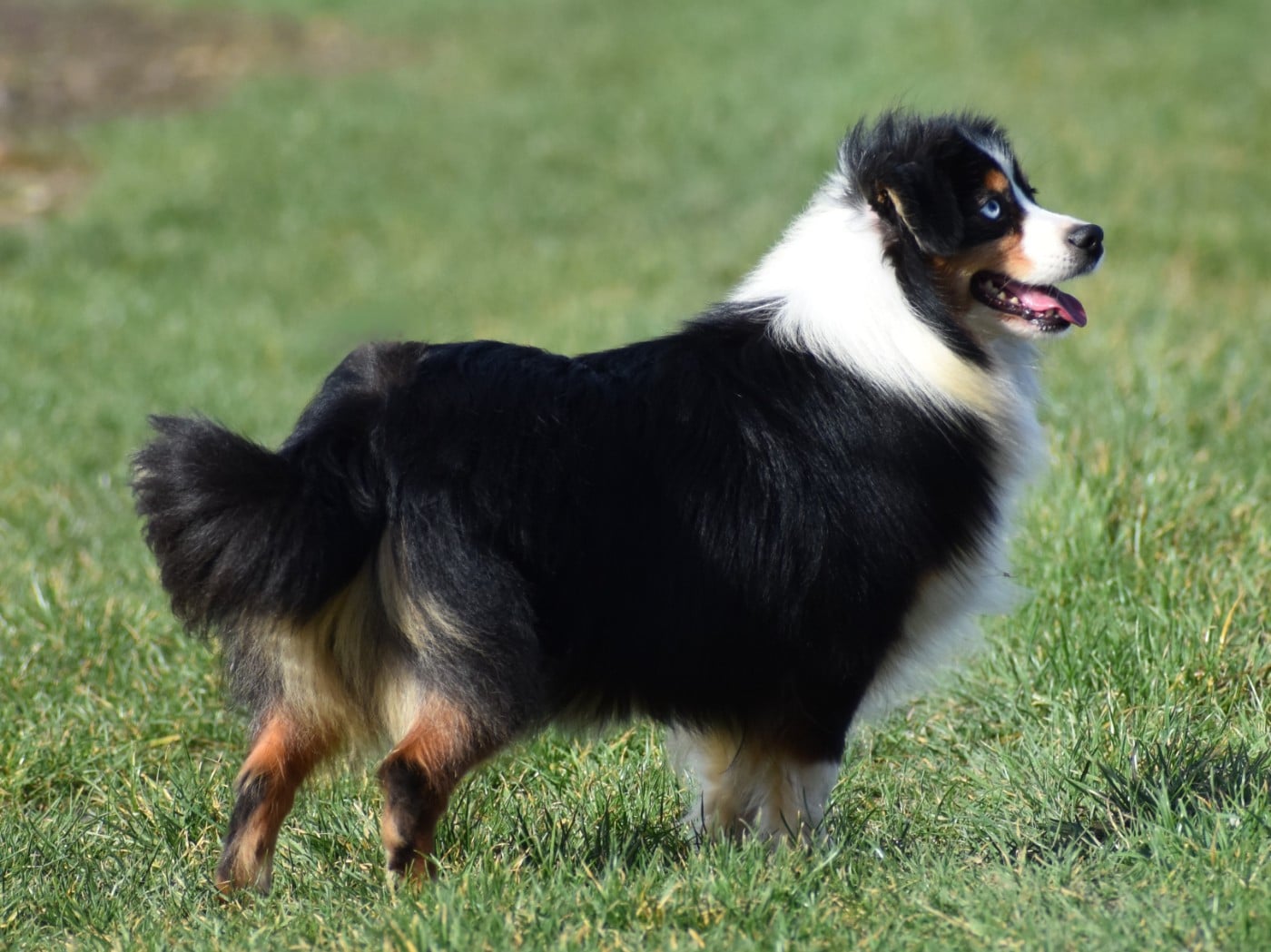 Publication : De La Folle Emprise