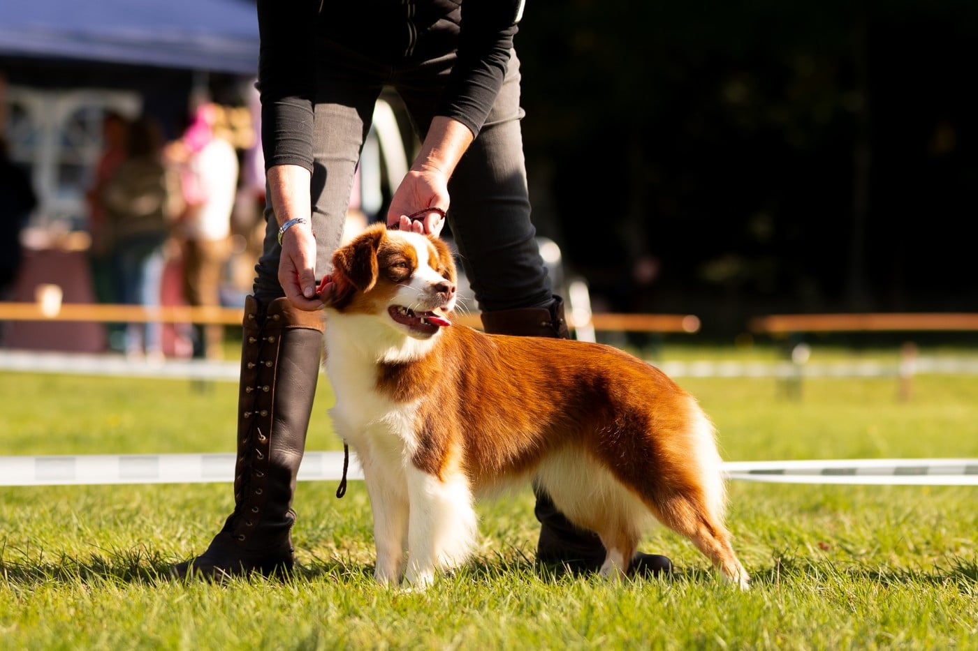 Publication : De La Folle Emprise Auteur : Margot Guillet