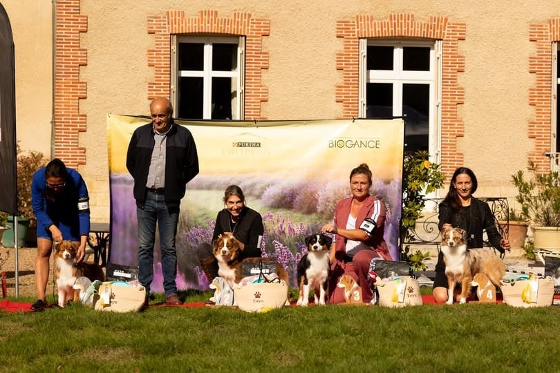 Publication : De La Folle Emprise Auteur : Margot Guillet