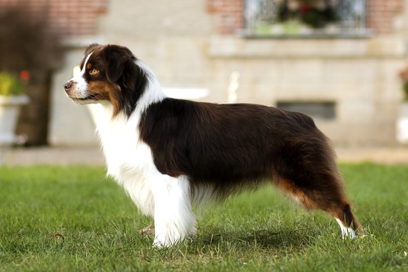 Publication : De La Folle Emprise Auteur : Margot Guillet