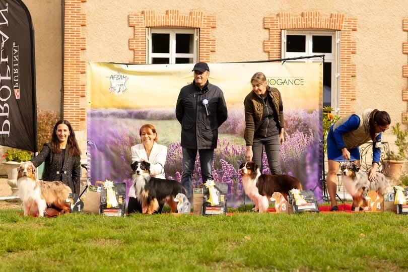 Publication : De La Folle Emprise Auteur : Margot Guillet