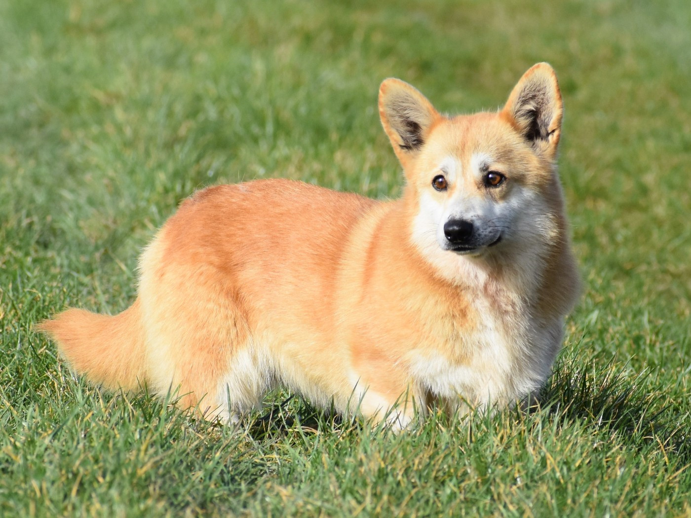 Publication : De La Folle Emprise