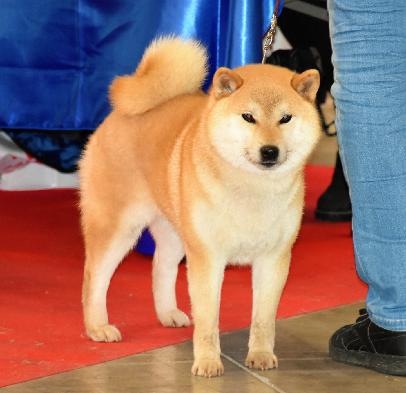 Publication : De La Folle Emprise