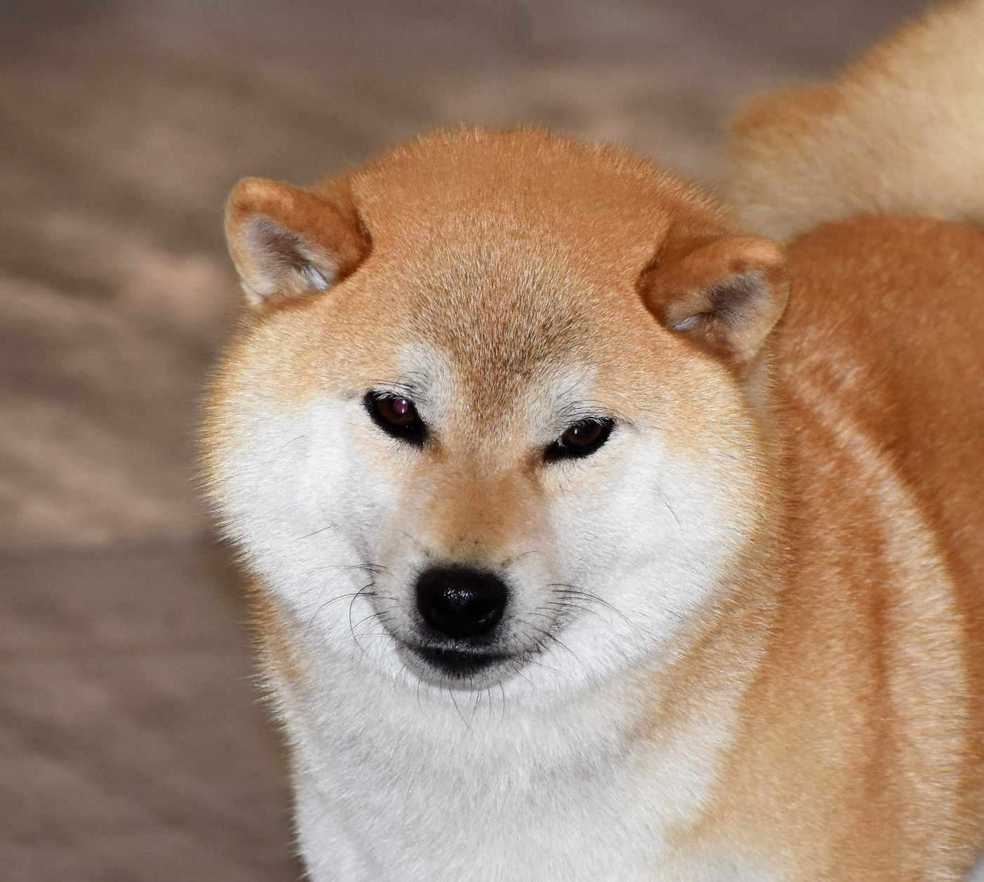 Publication : De La Folle Emprise