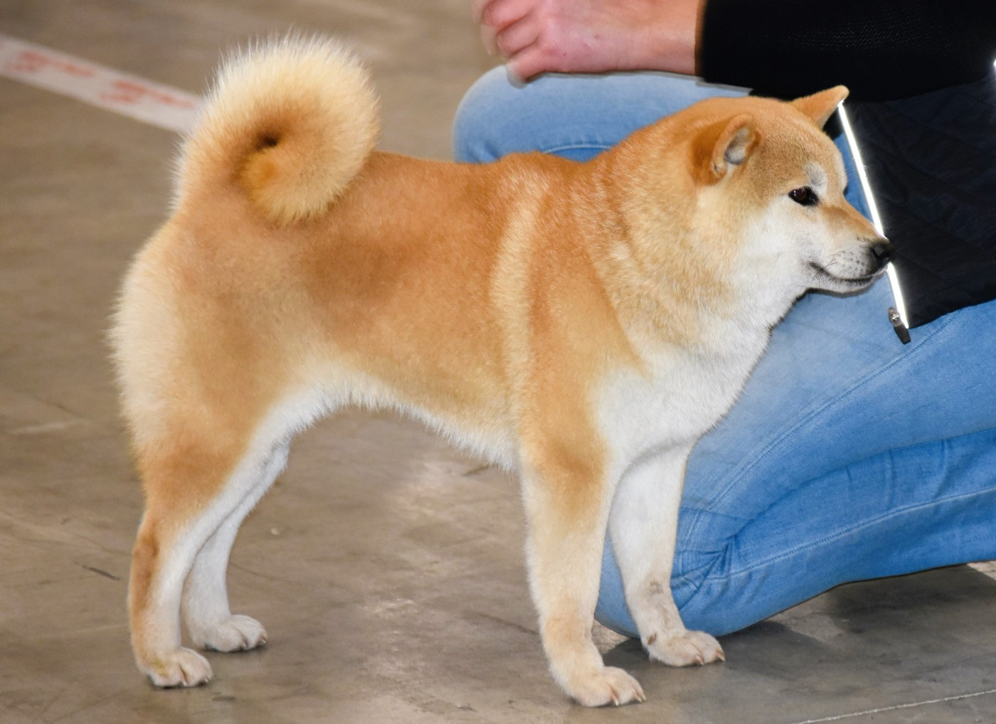 Publication : De La Folle Emprise