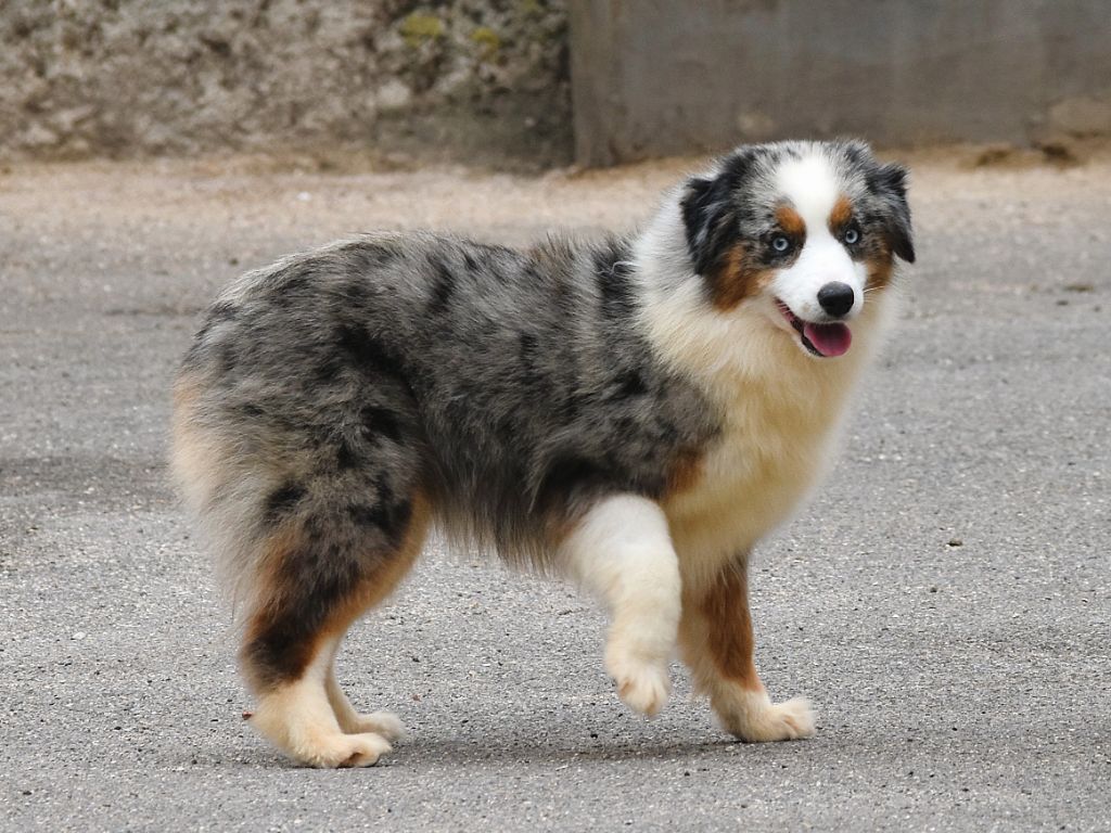 Publication : De La Folle Emprise