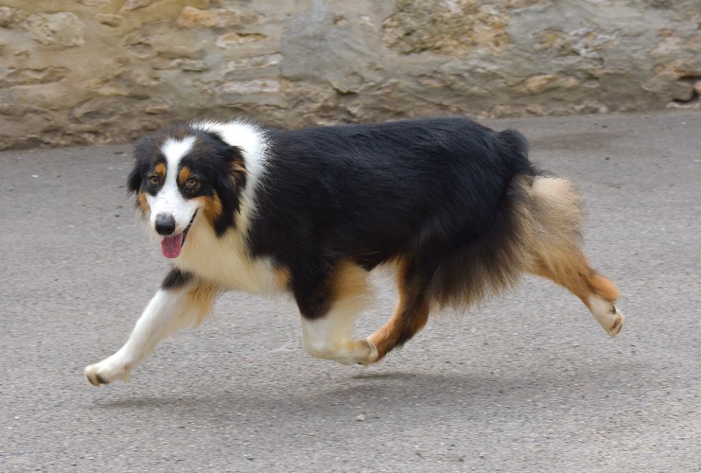 Say a little prayer for you De La Folle Emprise