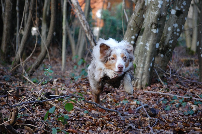 Publication : De La Folle Emprise Auteur : Chrystelle Calixte