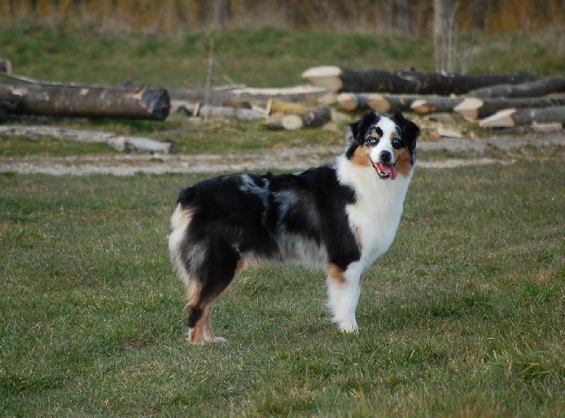 Publication : De La Folle Emprise Auteur : Chrystelle Calixte