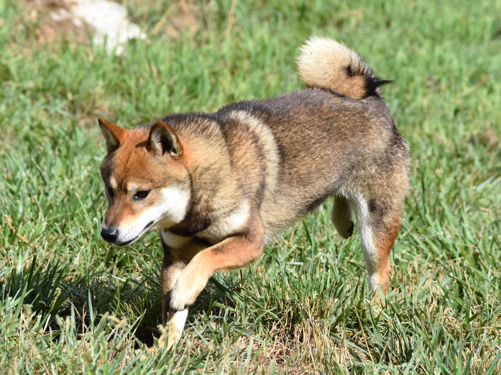 Publication : De La Folle Emprise