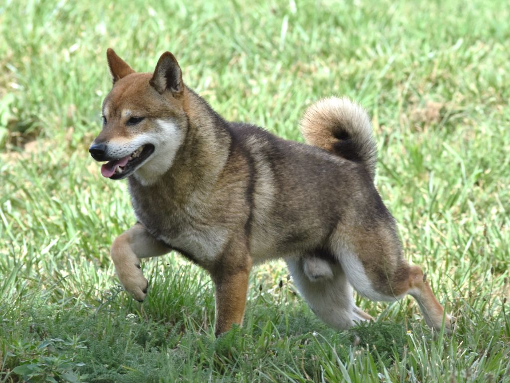 Publication : De La Folle Emprise