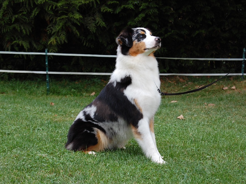 Publication : De La Folle Emprise Auteur : Chrystelle Calixte