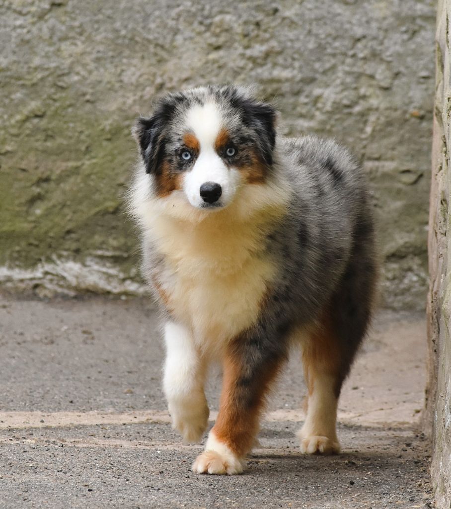 Publication : De La Folle Emprise