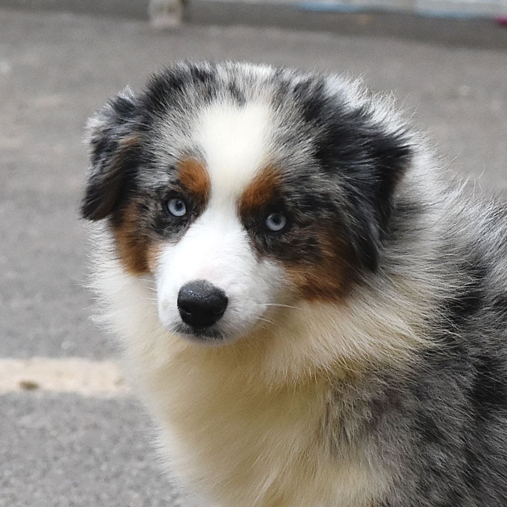 Publication : De La Folle Emprise