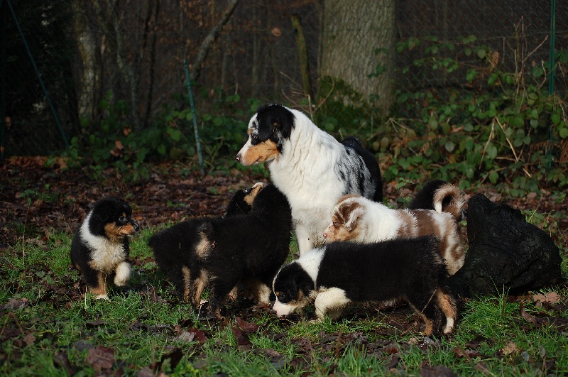 Publication : De La Folle Emprise Auteur : Chrystelle Calixte