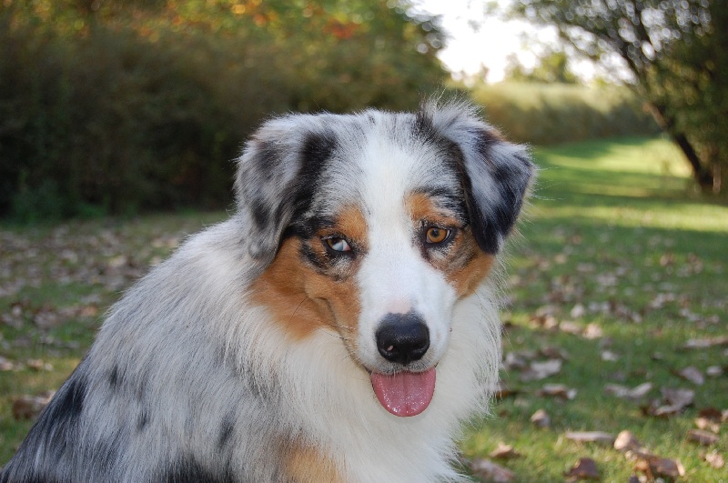 Publication : De La Folle Emprise