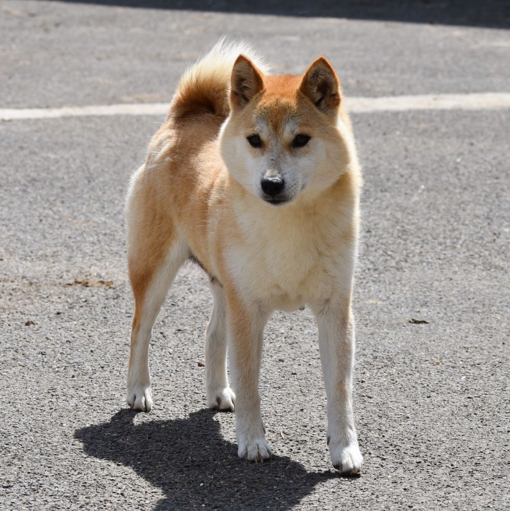 Publication : De La Folle Emprise