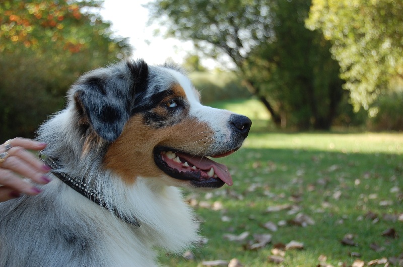 Publication : De La Folle Emprise