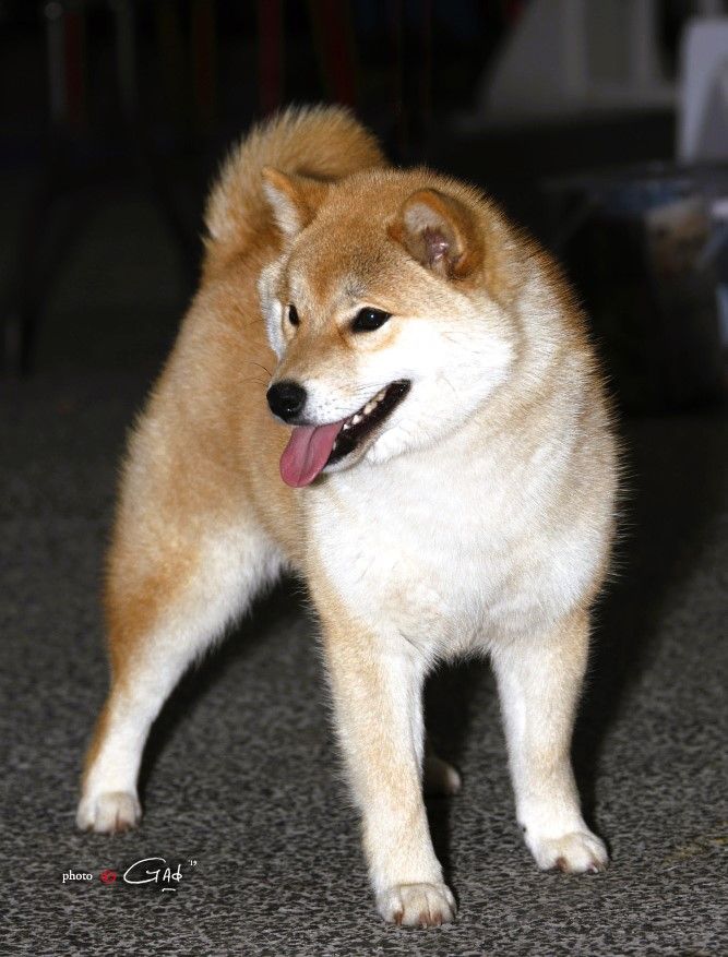 Publication : De La Folle Emprise