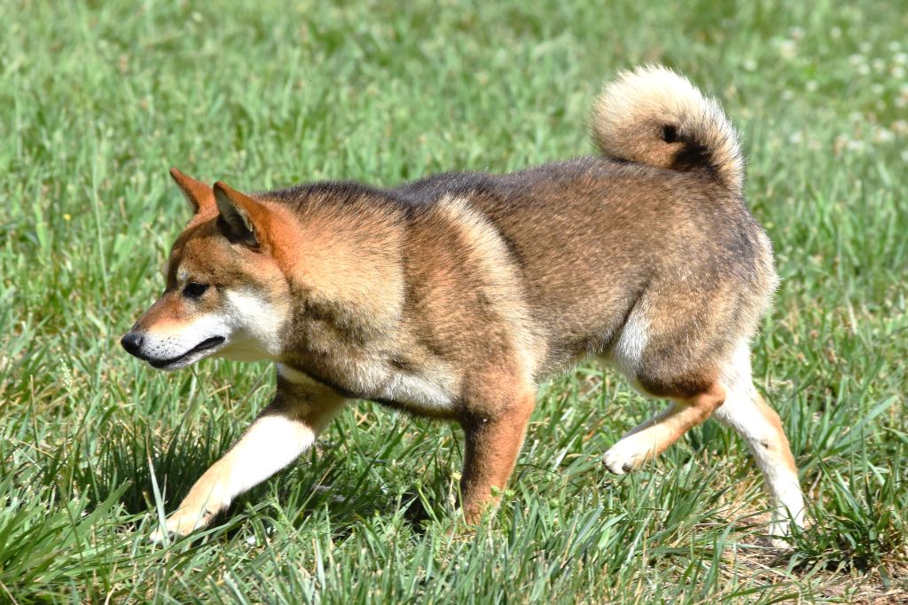 Publication : De La Folle Emprise