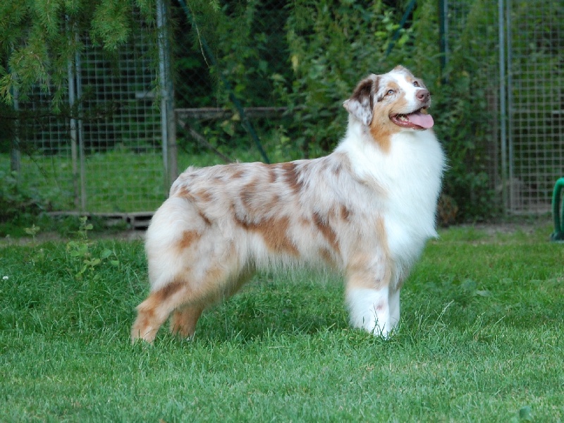 Publication : De La Folle Emprise Auteur : Chrystelle Calixte