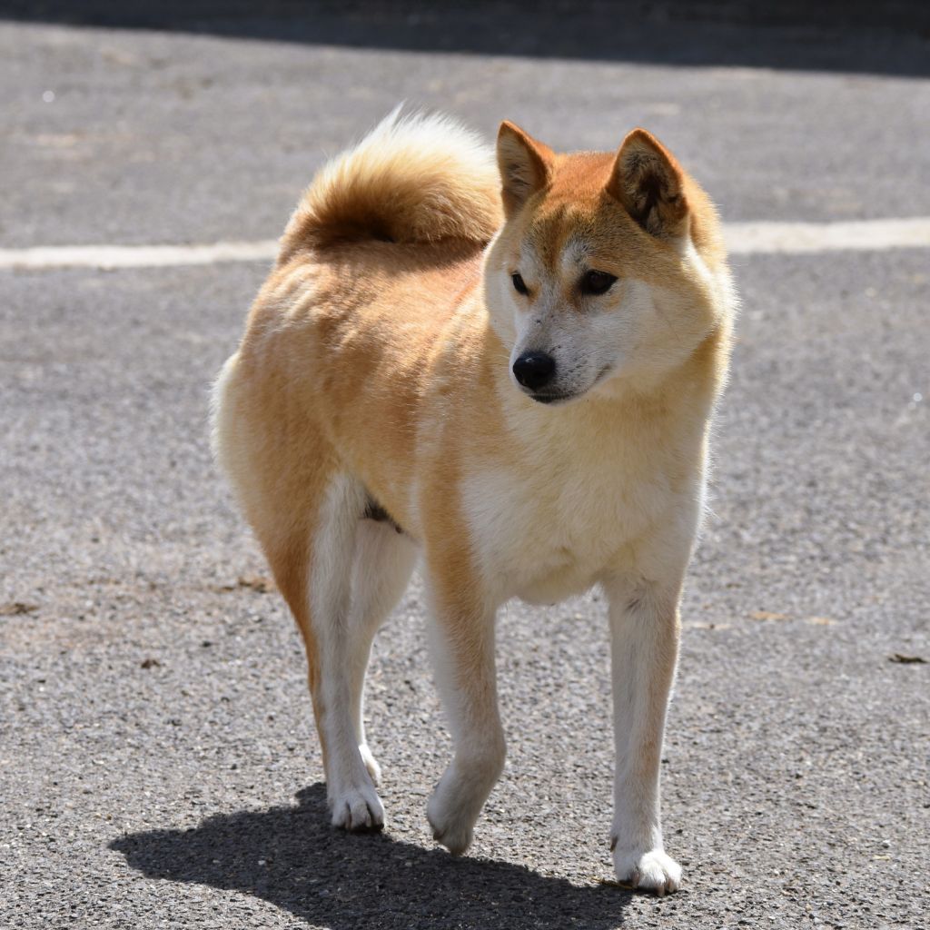 Publication : De La Folle Emprise