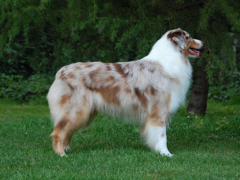 Publication : De La Folle Emprise Auteur : Chrystelle Calixte