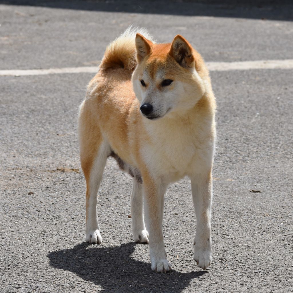 Publication : De La Folle Emprise