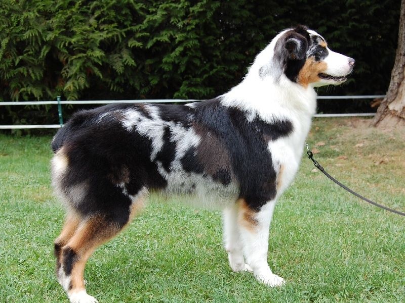 Publication : De La Folle Emprise Auteur : Chrystelle Calixte