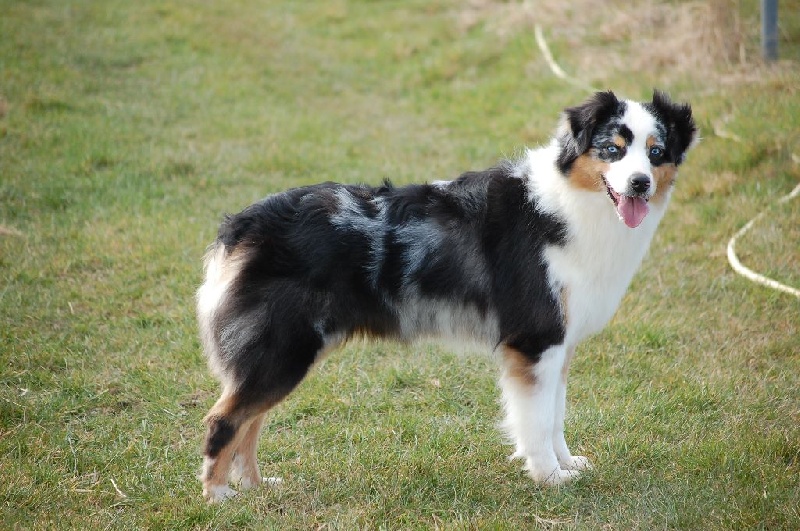 Publication : De La Folle Emprise Auteur : Chrystelle Calixte