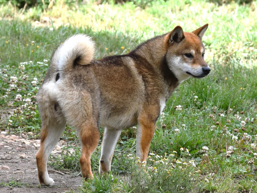 Publication : De La Folle Emprise