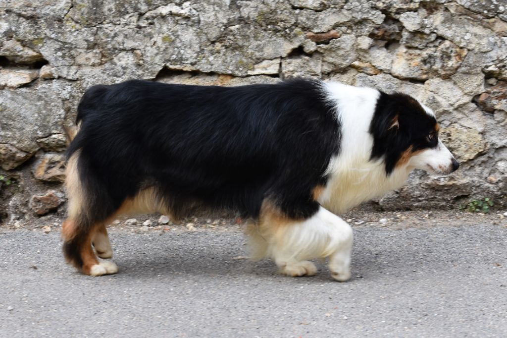 Say a little prayer for you De La Folle Emprise