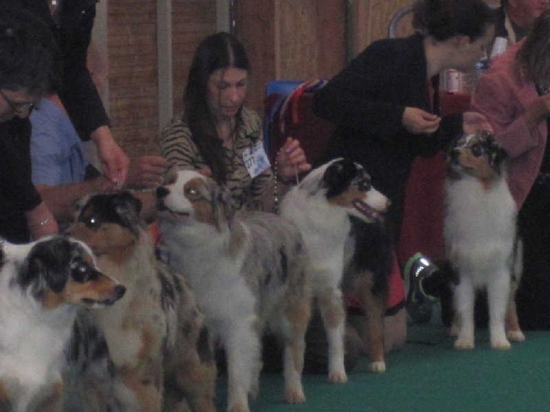 Fun lady De La Folle Emprise - Très bon