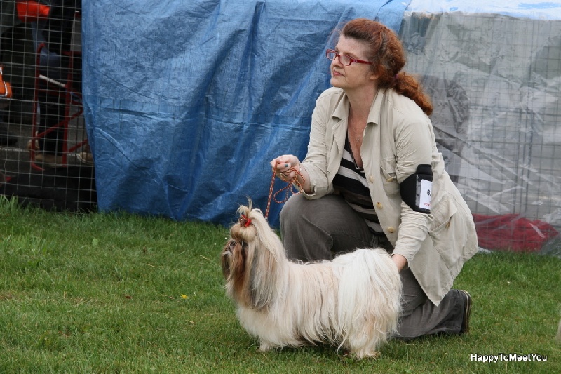 Glittering party girl De Daïkyori Saÿ - CO 1ère Exc CACS Spéciale de Race