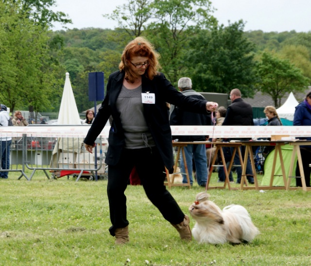 Glittering party girl De Daïkyori Saÿ - CI 1ère Exc - CACS