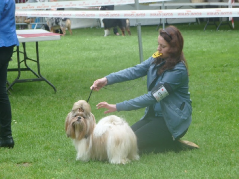 Glittering party girl De Daïkyori Saÿ - CI 1ère Exc - CACS-BOB