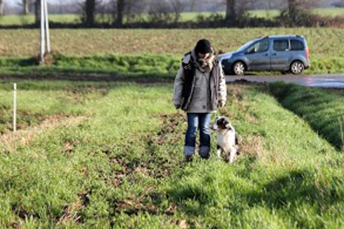 CH. Celte ar Bleiz Vihan - RCACT