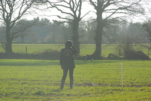 CH. Celte ar Bleiz Vihan - RCACT