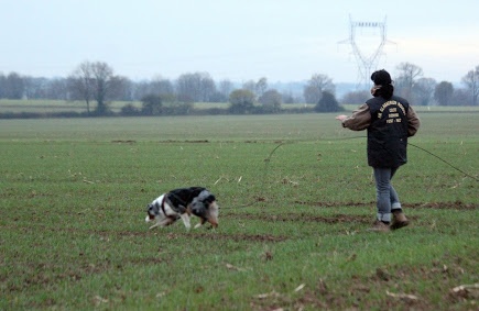 CH. Celte ar Bleiz Vihan - CACT