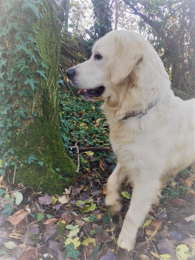 Publication : De La Source Du Riet Veld