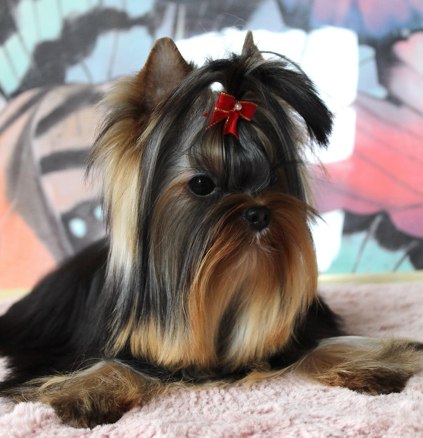 Anna Des Anges de Batignolles