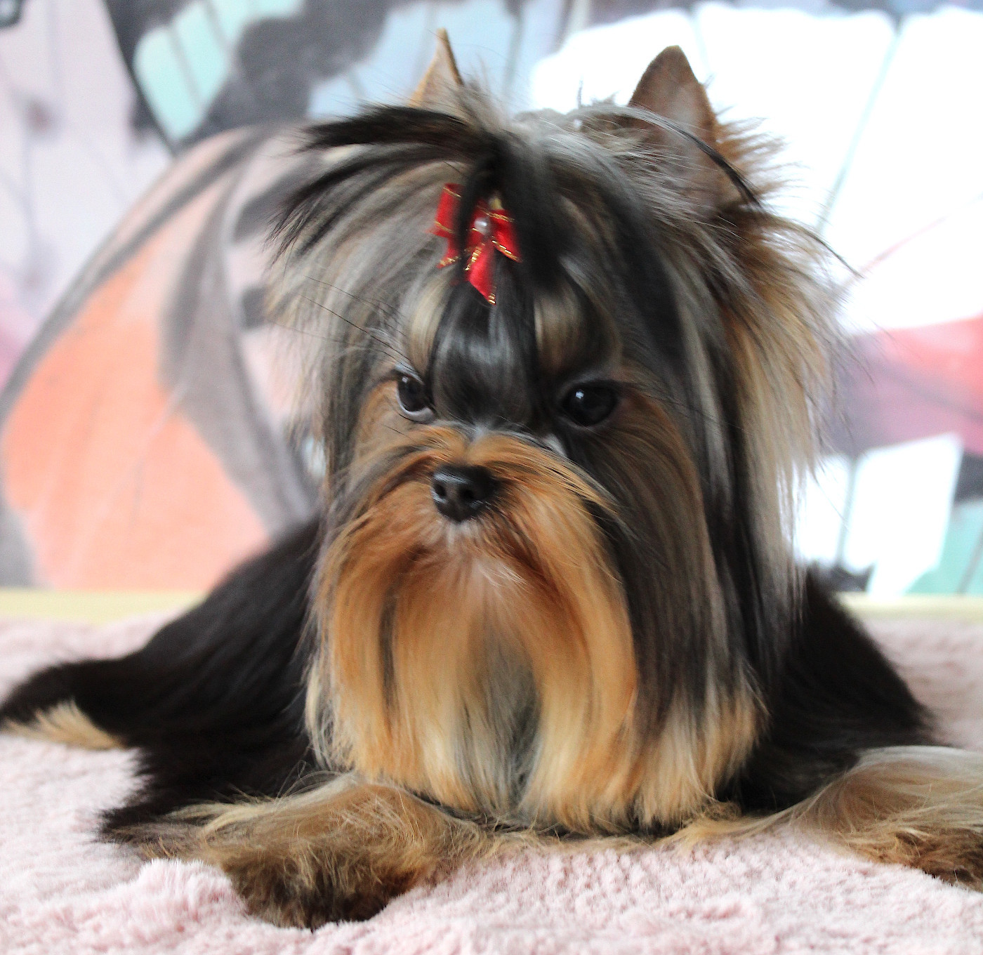 Anna Des Anges de Batignolles