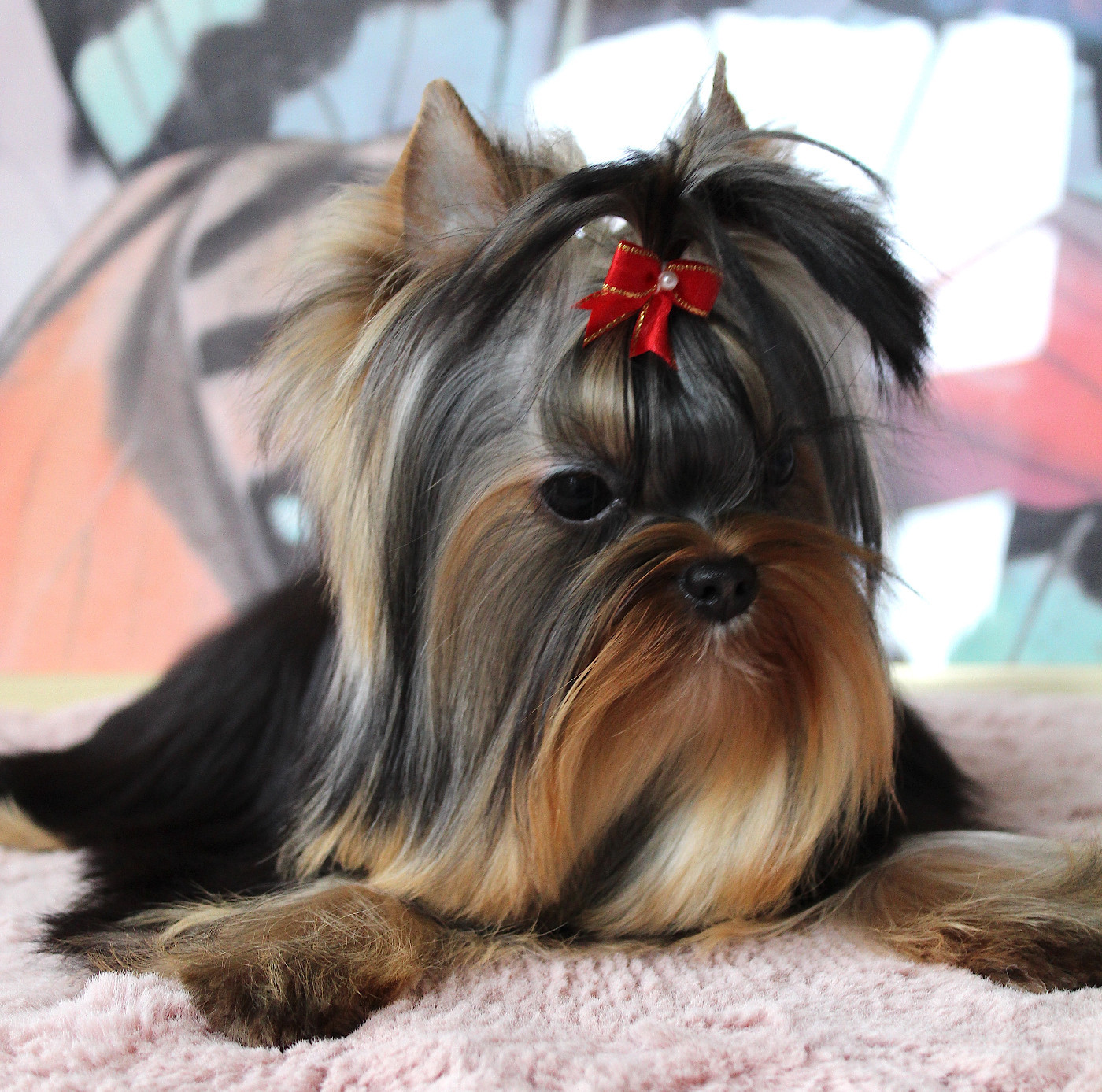 Anna Des Anges de Batignolles