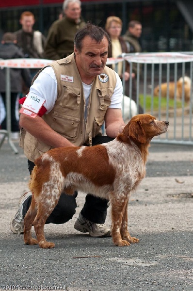 CH. Uko de saint alamo - 1Exc