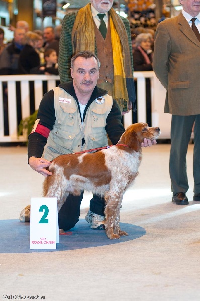 CH. Uko de saint alamo - Medaille d'argent