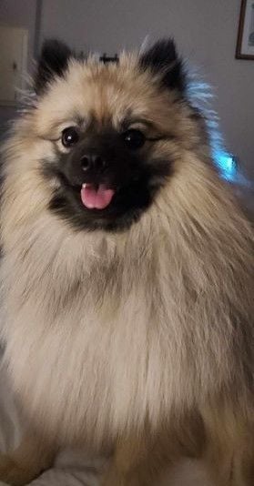 True love drogon dit tao De Chantrsarre