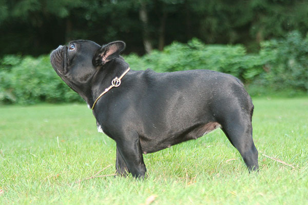 Publication : Maison de Principaute