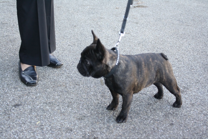 Publication : Maison de Principaute