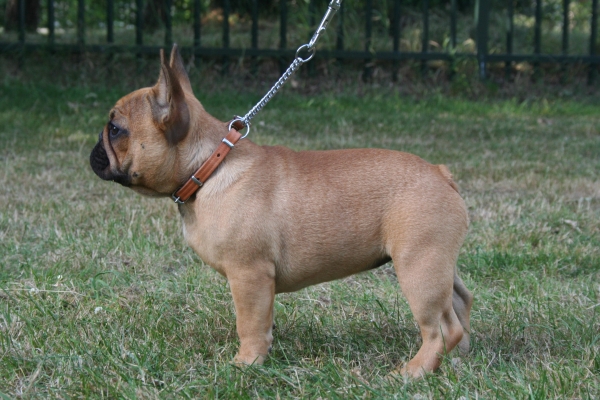 Publication : Maison de Principaute